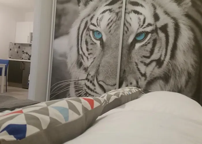 Bedroom Krzywoustego 14 Apartment Szczecin